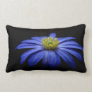 Search for black background cushions Blue