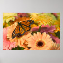 Search for bronze posters Golden