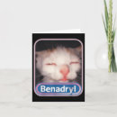 Search for cat meme cards Animal