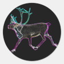 Search for caribou stickers Reindeer