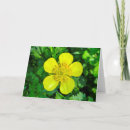 Search for beams cards Bright