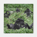Search for primate magnets Jungle