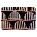 Search for traps magnets Close up