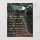 Search for eternal postcards Inspirational