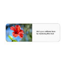 Search for red hibiscus return address labels Flower