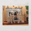 Search for golden retriever postcards New address