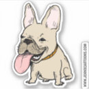 Search for cute fawn electronics Frenchie