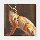 Search for wildcat magnets Animal