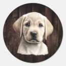 Search for yellow lab puppy stickers Dog