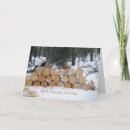 Search for log cards Photograph