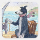 Search for border collie dog stickers Sheepdog