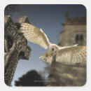 Search for barn owl stickers Horizontal