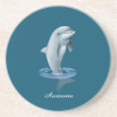 Search for dolphin coasters Cute