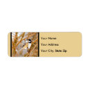 Search for chickadee return address labels Songbird