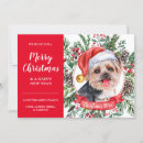 Search for yorkshire terrier christmas cards Watercolor