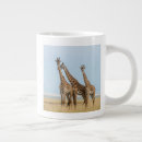 Search for giraffa camelopardalis mugs Kenya