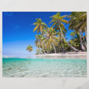 Search for tropic flyers Ocean