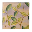 Search for backgrounds tiles Brown
