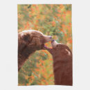 Search for grizzly bear tea towels Cub