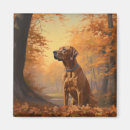 Search for rhodesian magnets Pet