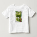 Search for banana tree clothing Botanical