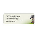 Search for veterinarian return address labels Horses