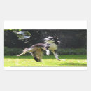 Search for soap bubbles stickers Dog
