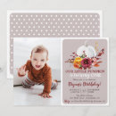 Search for pumpkins photography For kids