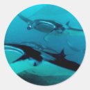 Search for manta stickers Fish