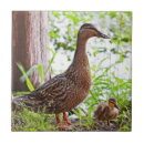 Search for duck and duckling tiles Birds