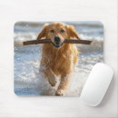 Search for dog with stick mousepads Golden retriever