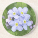 Search for forget me not flowers coasters Nature