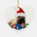 Search for shar pei christmas tree decorations Dog