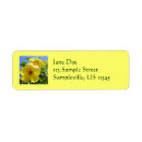 Search for trumpet return address labels Nature