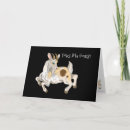 Search for toting cards Animal