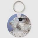 Search for falcons key rings Falconry