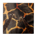 Search for giraffe tiles Animals