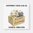Search for shelters magnets Pets