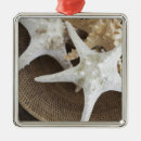 Search for starfish christmas tree decorations Shell