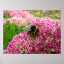 Search for bumble be posters Summer