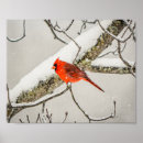 Search for cardinals in winter posters Trees