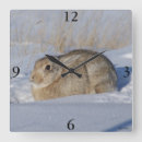 Search for rabbits clocks Bunny