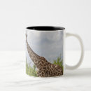 Search for tanzania mugs Outdoors