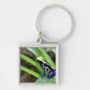 Search for darts key rings Sitting