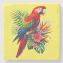 Search for macaw coasters Floral