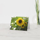 Search for seed photography Garden