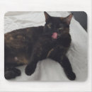 Search for lick mousepads Cat