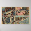 Search for chinook art Fishing