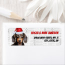 Search for smooth labels Dogs