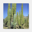 Search for pipe organ magnets Scenic